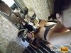 bfa9486839442b3a19306.jpg