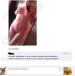 orig_CoHAt22i.jpg