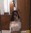 IMG_5134.jpeg